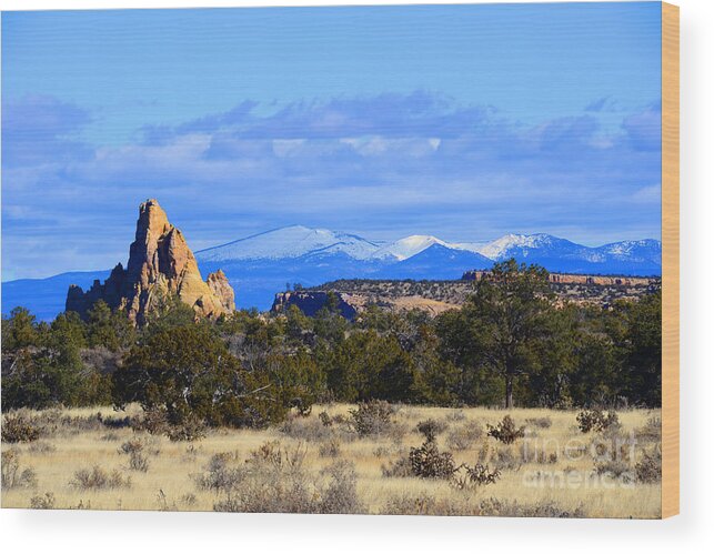 Southwest Landscape Wood Print featuring the photograph Point with a view by Robert WK Clark