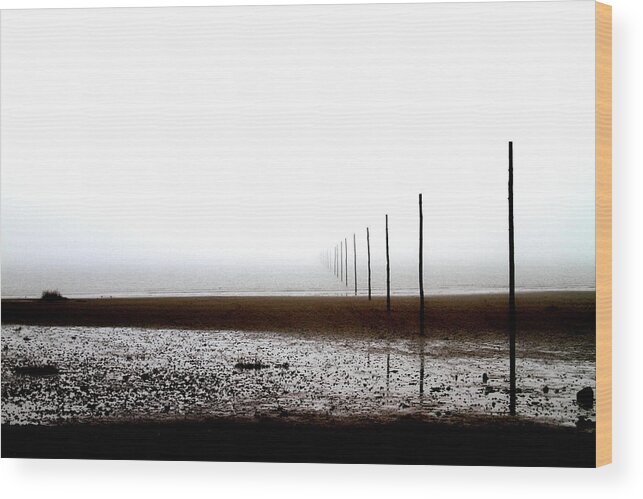 Poles Sea Lindisfarne Wood Print featuring the photograph Poles, Lindisfarne by Ian Sanders