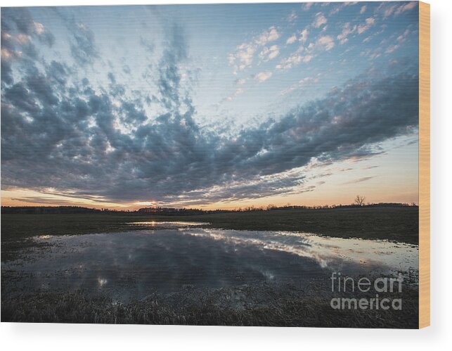 Pond Wood Print featuring the photograph Pond and Sky Reflection4 by Steve Somerville