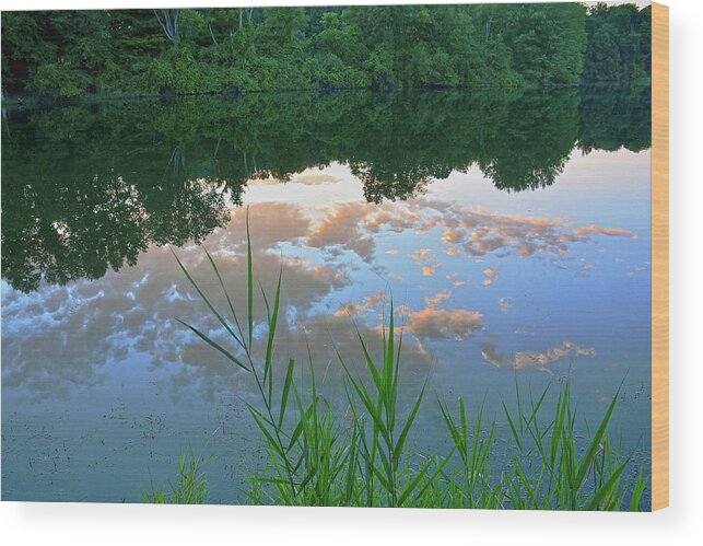 Reflections Wood Print featuring the photograph Pondering by Angelo Marcialis