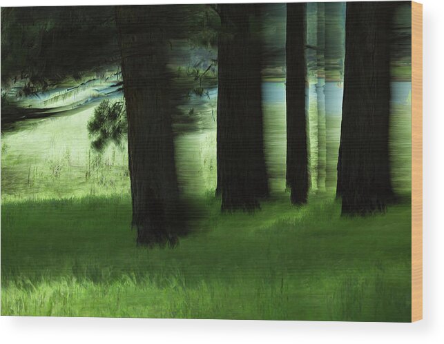 Trees Wood Print featuring the photograph Ponderosa Hide And Seek by Deborah Hughes