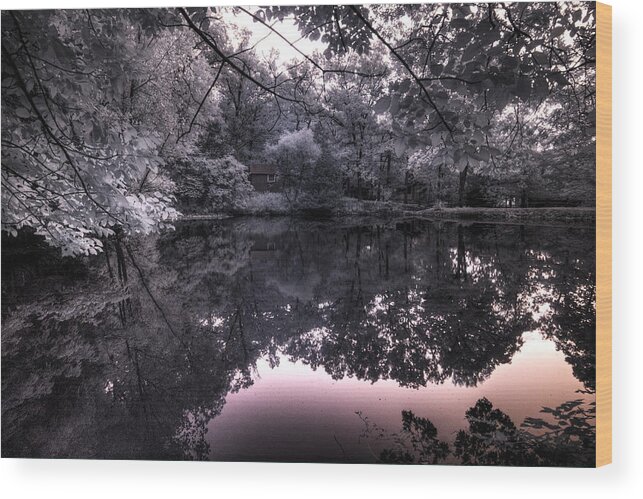 Pond Side Dusk Wood Print featuring the photograph Pondside Dusk by William Fields
