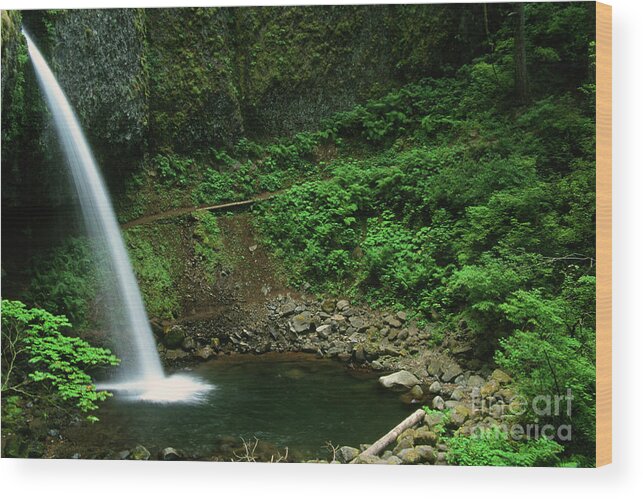 Images Wood Print featuring the photograph Ponytail Falls-h by Rick Bures