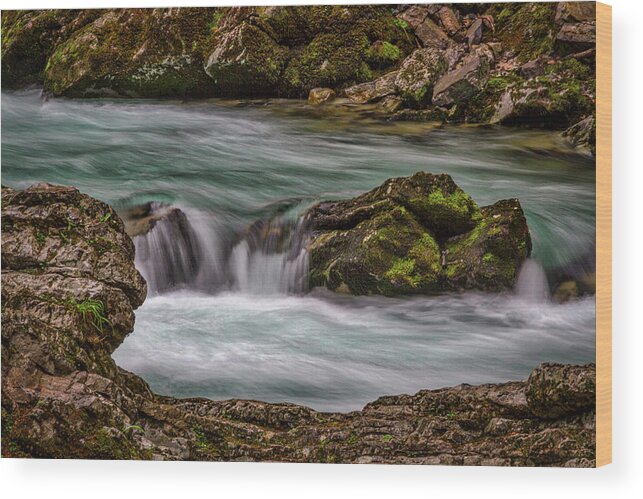 Slovenia Wood Print featuring the photograph Pool in the River by Stuart Litoff