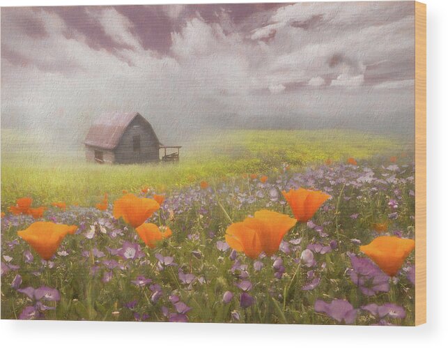 Appalachia Wood Print featuring the photograph Poppies in a Dream Watercolor Painting by Debra and Dave Vanderlaan