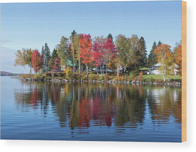Foliage Wood Print featuring the photograph Popping Colors by Darryl Hendricks