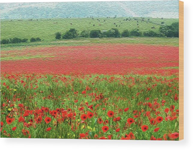Poppies Wood Print featuring the photograph Poppy Field and Cows by Vanessa Thomas