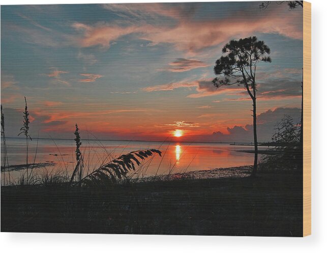 Port St Joe Bay Walk Wood Print featuring the photograph Port St Joe Sunset by Ben Prepelka