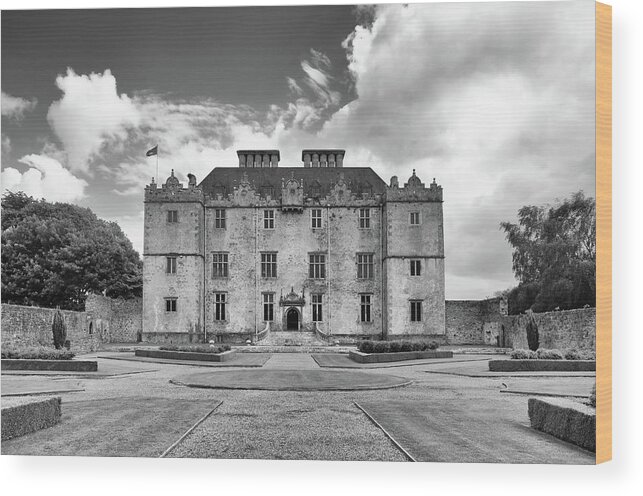 Portumna Castle Wood Print featuring the photograph Portumna Castle by Martina Fagan