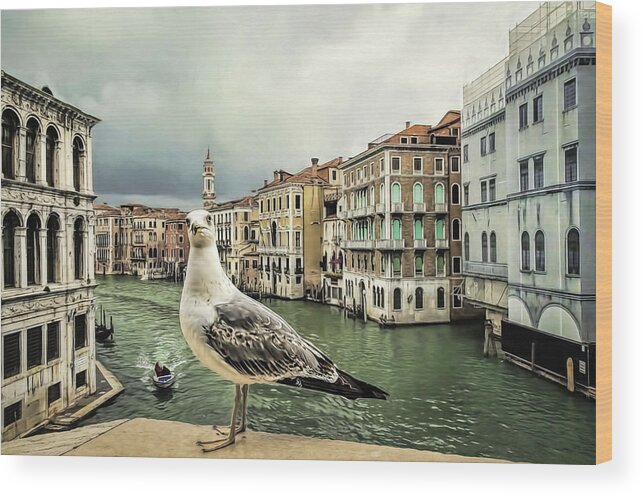 Adriatic Wood Print featuring the photograph Posing for Tourists by Maria Coulson