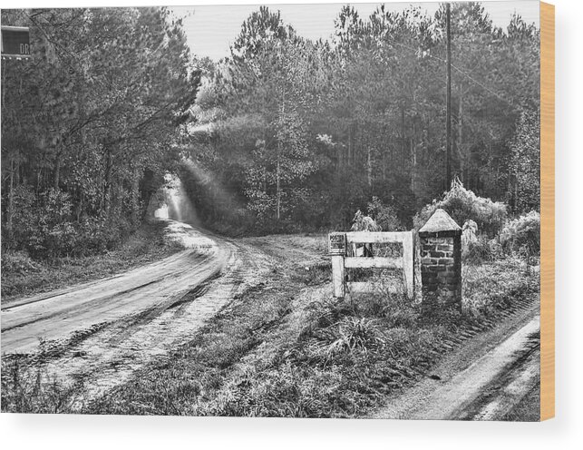 'sun Rays' Wood Print featuring the photograph Posted on Witsell Rd by Scott Hansen