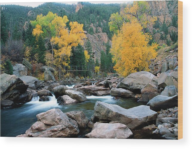 Colorado Wood Print featuring the photograph Poudre Gold by Jim Benest