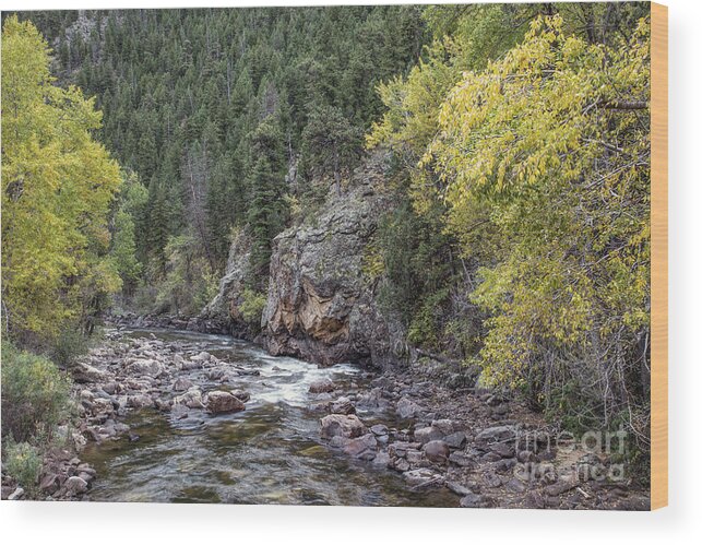 Poudre River Wood Print featuring the photograph Poudre in Winter by Lynn Sprowl