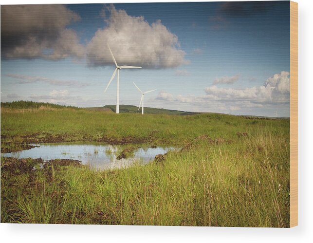 White Cloud Wood Print featuring the photograph Powder Puffs by Mark Callanan