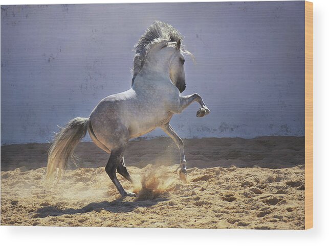 Russian Artists New Wave Wood Print featuring the photograph Power in Motion by Ekaterina Druz