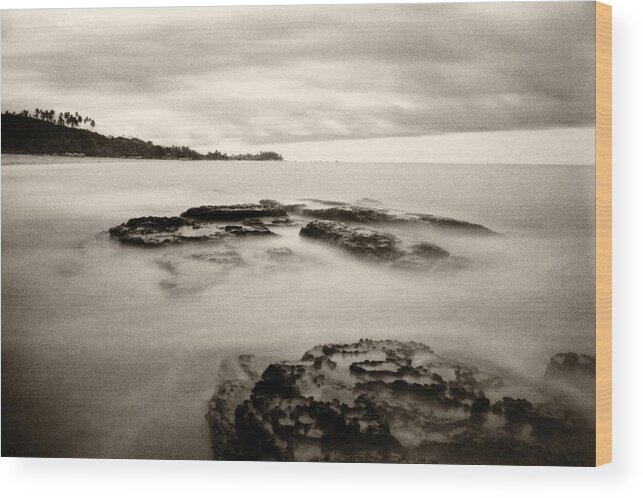 Beach Wood Print featuring the photograph Coqueiros Beach - Trancoso by Amarildo Correa