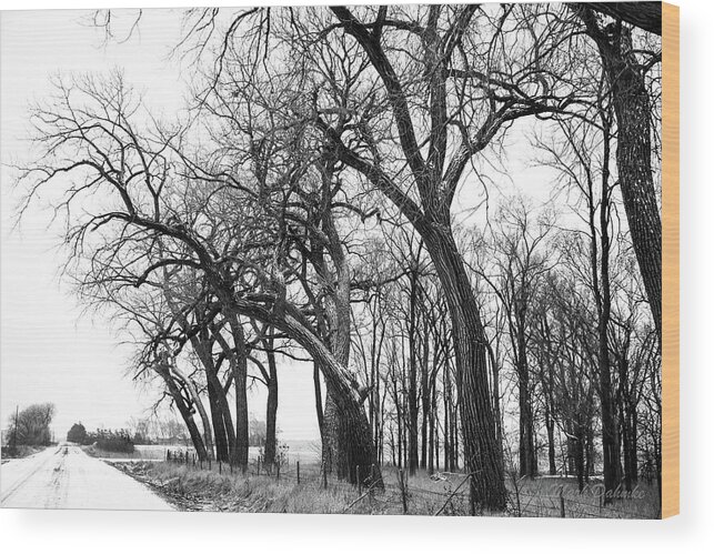  Wood Print featuring the photograph Prairie Winter Scene by Mark Dahmke