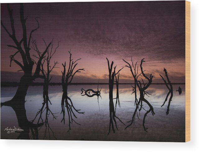 Sunrise Wood Print featuring the photograph Pre-Dawn by Andrew Dickman