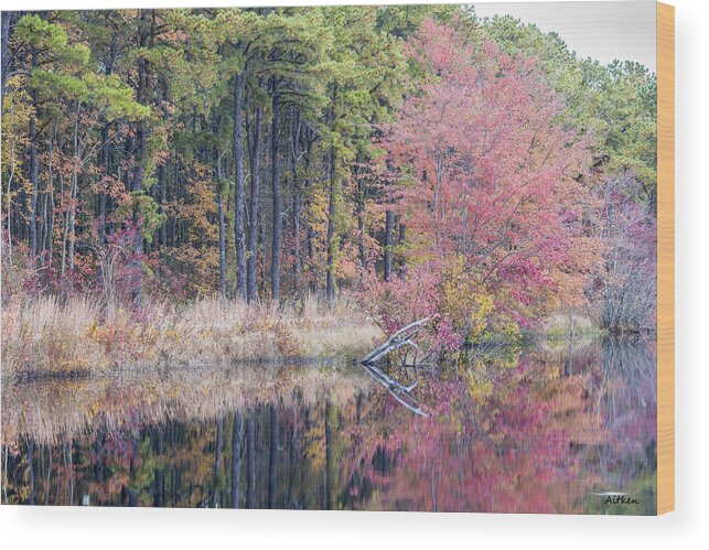Fall Foliage Wood Print featuring the photograph Pretty in Pink by Charles Aitken