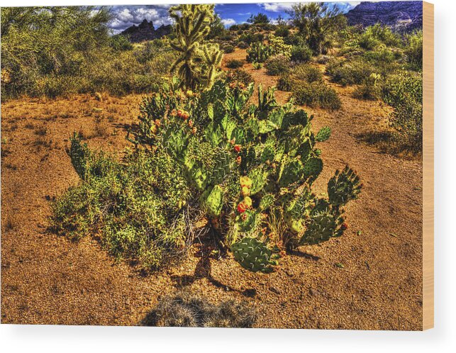 Arizona Wood Print featuring the photograph Prickly Pear in Bloom with BrittleBush and Cholla for Company by Roger Passman