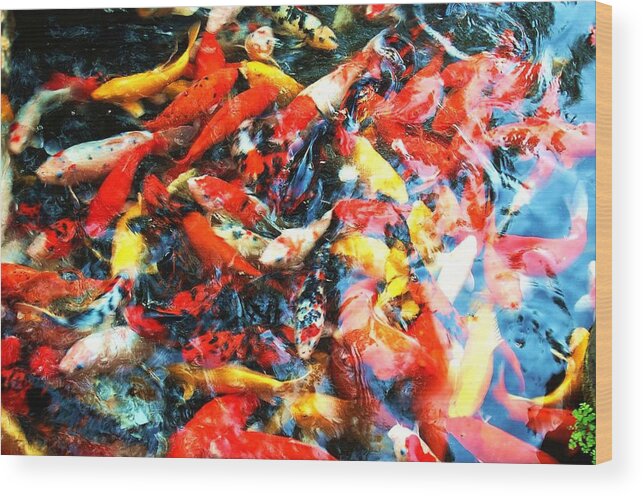Carp Wood Print featuring the photograph Prosperity by HweeYen Ong