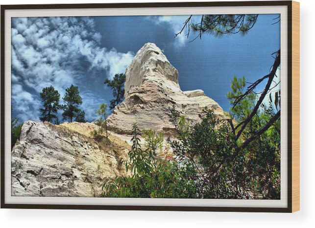 Providence Wood Print featuring the photograph Providence Canyon by Farol Tomson