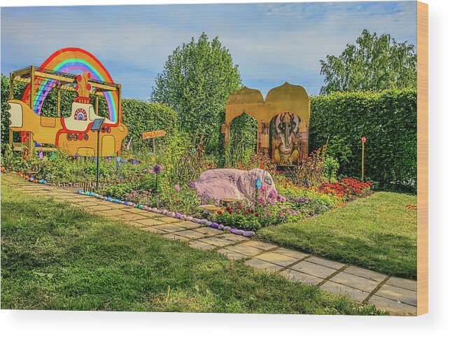 Garden Wood Print featuring the photograph Psychedelic rock 1. by Leif Sohlman