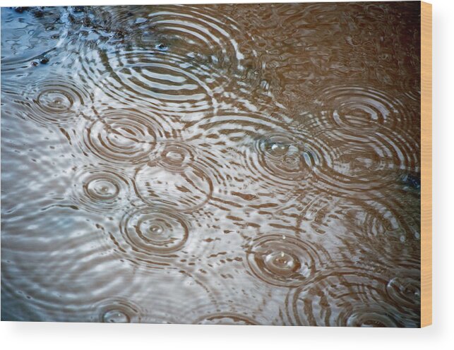 Rain Wood Print featuring the photograph Puddle Patterns by Gwyn Newcombe
