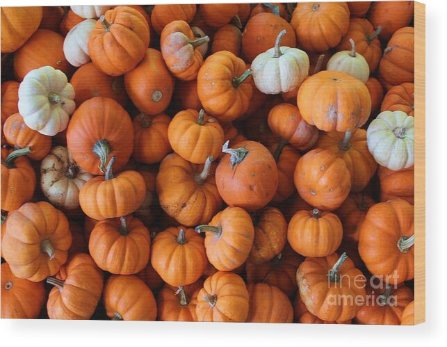 Autumn Wood Print featuring the photograph Pumpkin Babies by Robert Wilder Jr