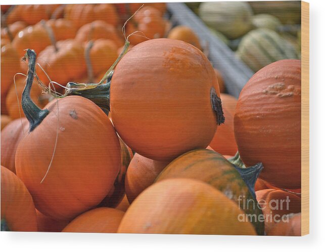 Food Wood Print featuring the photograph Pumpkin Harvest by Jason Freedman