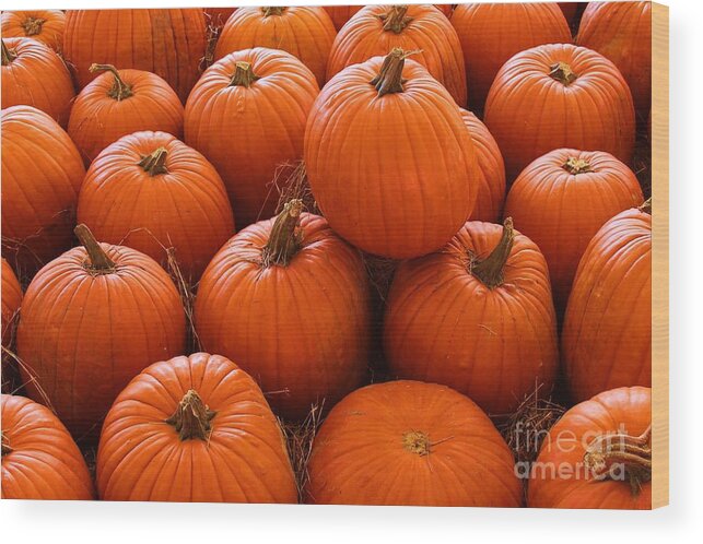 Photo For Sale Wood Print featuring the photograph Pumpkin Parch 3 by Robert Wilder Jr