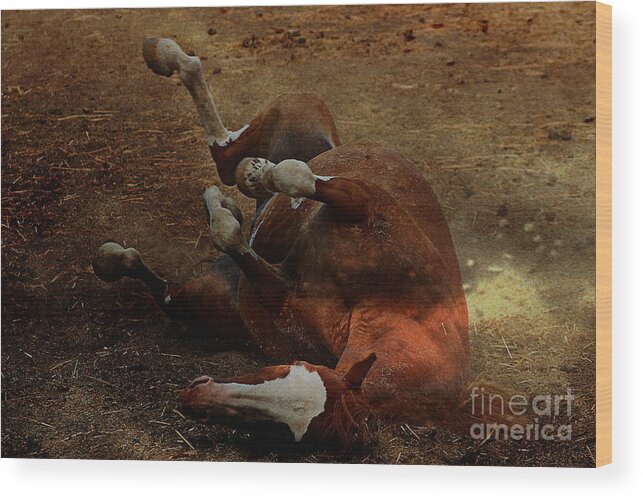 Horse Wood Print featuring the photograph Pure Enjoyment by Clare Bevan