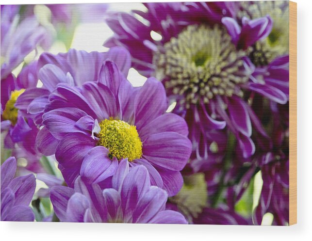 Gerbera Wood Print featuring the photograph Purple Flower in Cold Light. by Elena Perelman