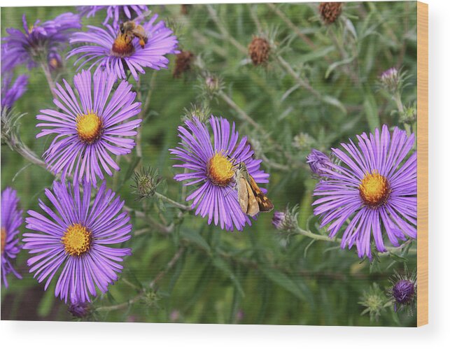 Flower Wood Print featuring the photograph Purple Flowers with Butterfly by Ellen Tully