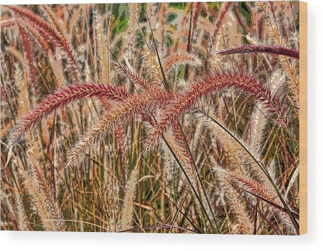Fountain Grass Wood Print featuring the photograph Purple Fountain Grass Abstract 2 by H H Photography of Florida by HH Photography of Florida