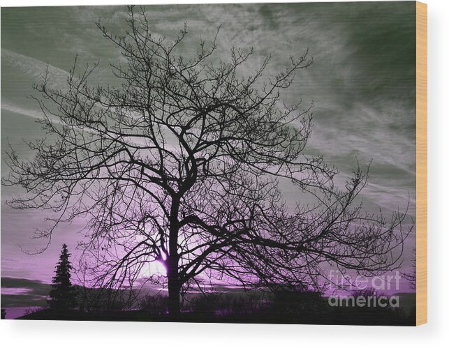 Grey Wood Print featuring the photograph Purple Haze Across The Sky by Reva Steenbergen