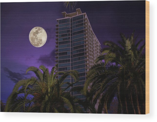 Orlando Wood Print featuring the photograph Purple Haze by SC Shank