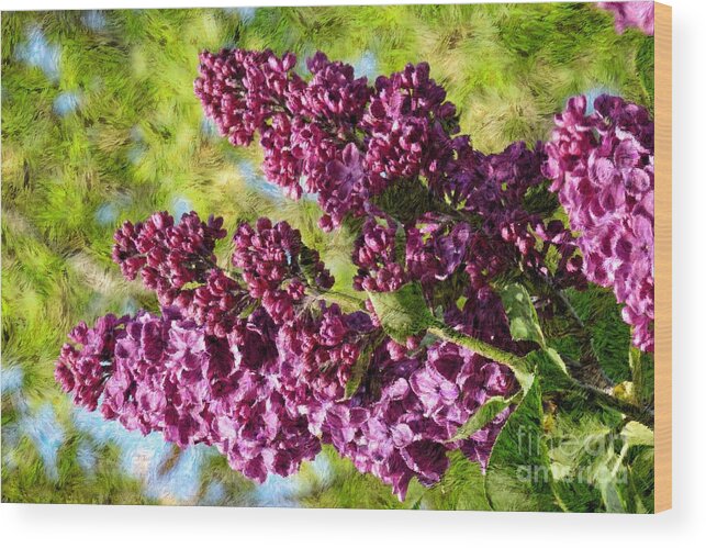 Bloom Wood Print featuring the photograph Purple Lilac 1 by Jean Bernard Roussilhe