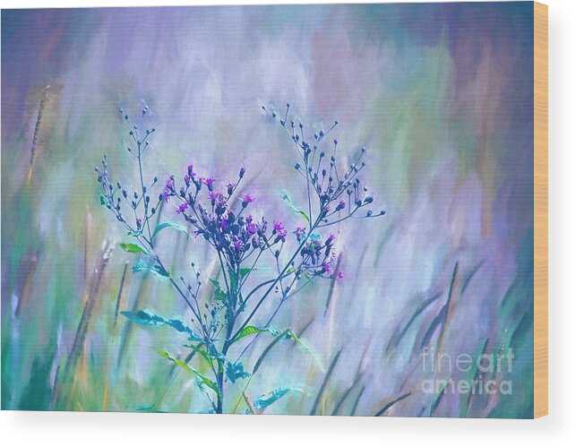 Nature Wood Print featuring the photograph Purple Meadow Grass by Sharon McConnell