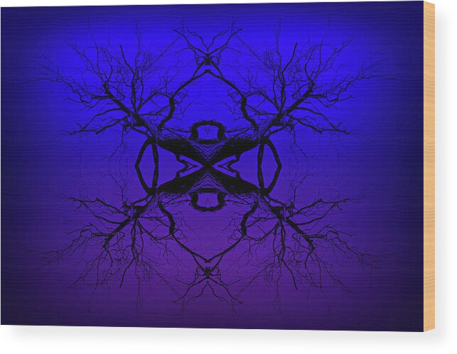 Velvet Wood Print featuring the photograph Purple Tree Haze by John Williams