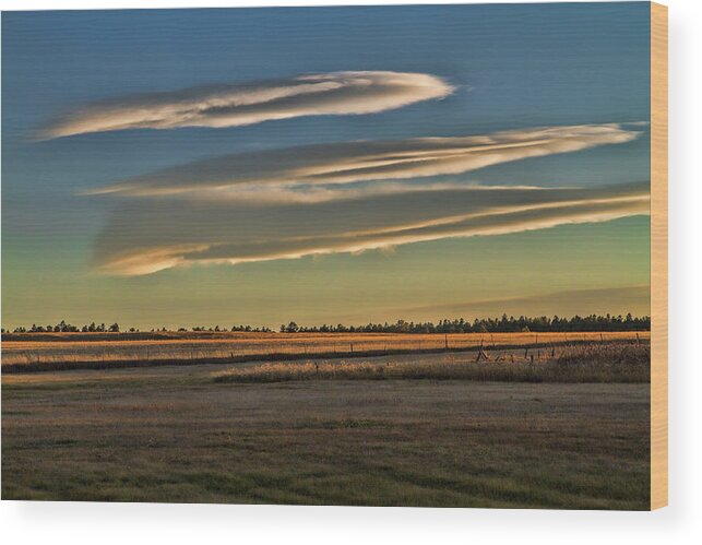 Grassland Wood Print featuring the photograph Quiet on the Land by Alana Thrower