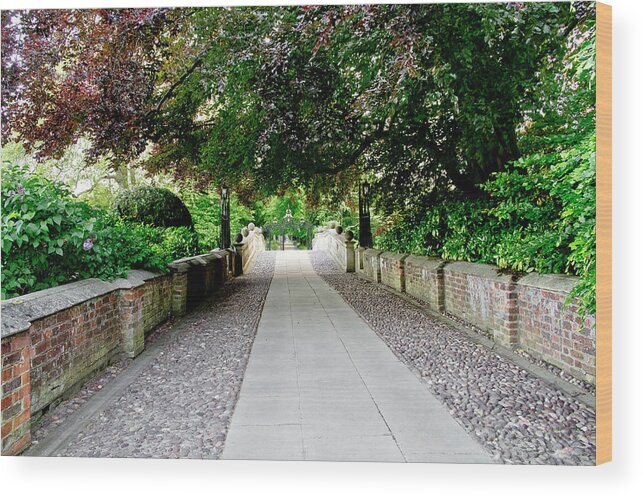 Clare College Wood Print featuring the photograph Quiet passage. by Elena Perelman