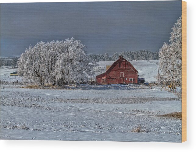 Winter Wood Print featuring the photograph Quiet Time at the Ranch by Alana Thrower