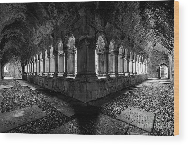Ireland Wood Print featuring the photograph Quin Abbey by Dennis Hedberg