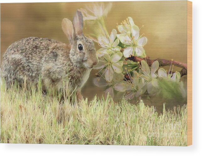 Rabbit Wood Print featuring the digital art Eastern Cottontail Rabbit in Grass by Janette Boyd