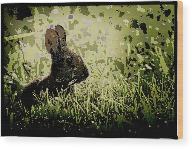 Rabbit Wood Print featuring the photograph Rabbit In Meadow by Richard Goldman