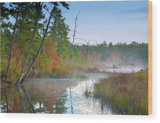 Autumn Wood Print featuring the photograph Radiant Morning by Jim Cook