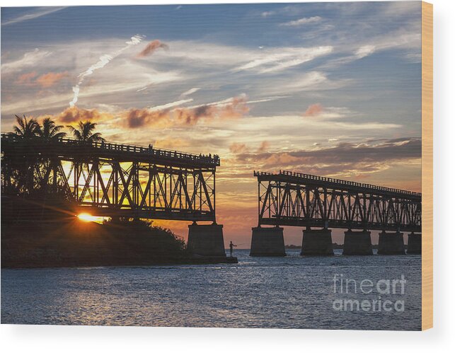 Florida Keys Wood Print featuring the photograph Rail bridge at Florida Keys by Elena Elisseeva