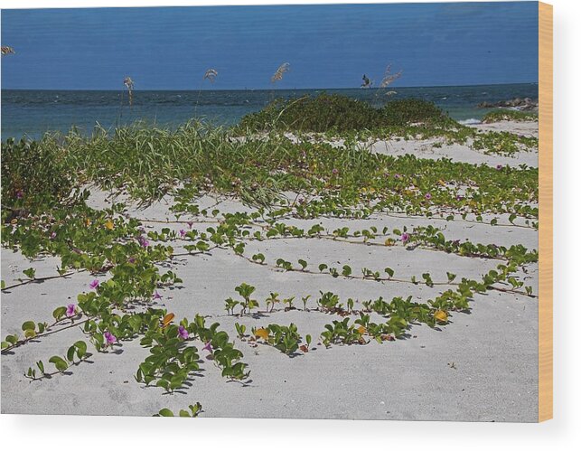 Railroad Vines Wood Print featuring the photograph Railroad Vines on Boca III by Michiale Schneider