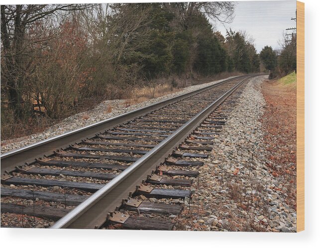 Rail Wood Print featuring the photograph Railway to Eternity by Travis Rogers